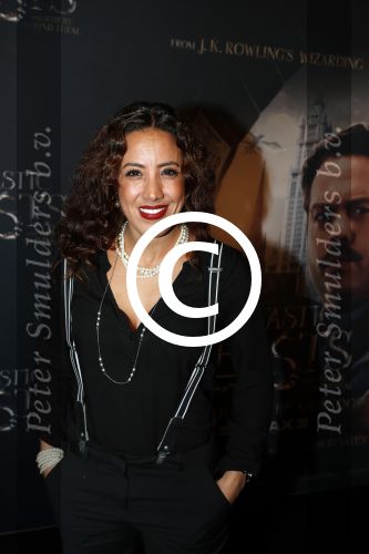 Amsterdam 15 november 2016
Premiere Fantastic beasts in Tuschinski. Aicha Marghadi