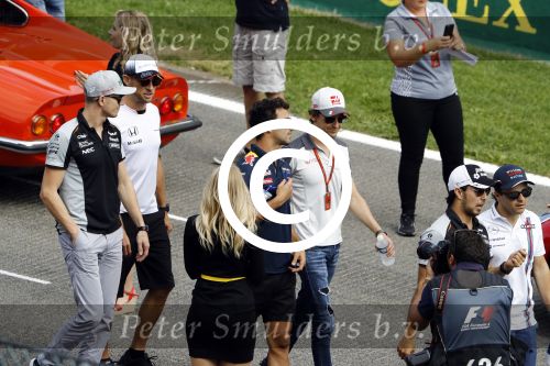 Francorchamps Spa 27 augustus 2016
F1 GP Spa Francorchamps. Daniel Ricciardo