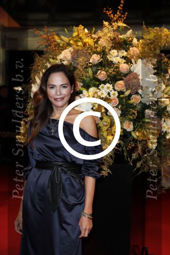 Amsterdam 13 oktober 2016
Televizierring 2016 in de heineken music Hall. 
Evelyn Struik