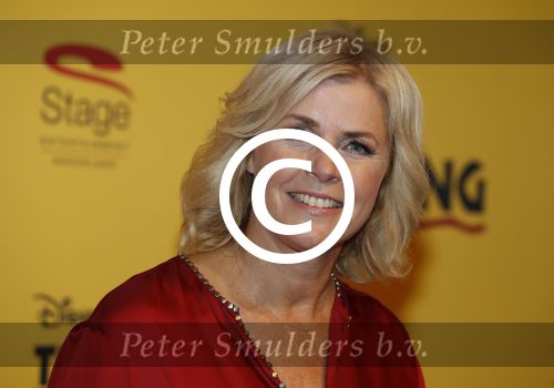 Scheveningen 30 oktober 2016
Premiere the lion king in het circustheater.
irene Moors