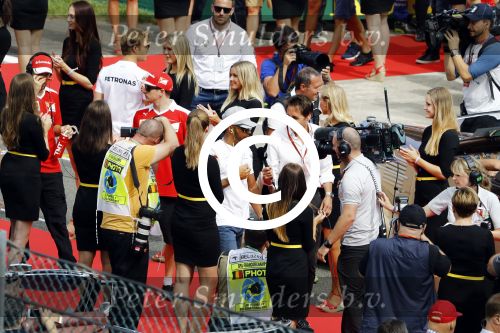 Francorchamps Spa 27 augustus 2016
F1 GP Spa Francorchamps. Lewis Hamilton