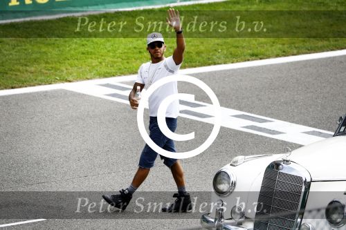 Francorchamps Spa 27 augustus 2016
F1 GP Spa Francorchamps. Lewis Hamilton