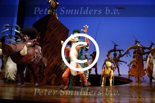 Scheveningen 30 oktober 2016
Premiere the lion king in het circustheater. slotaplaus met de cast.