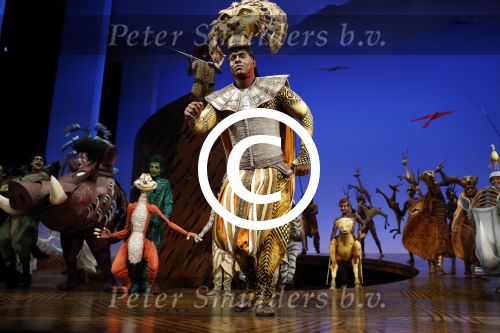 Scheveningen 30 oktober 2016
Premiere the lion king in het circustheater. slotaplaus met de cast.