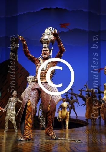 Scheveningen 30 oktober 2016
Premiere the lion king in het circustheater. slotaplaus met de cast.