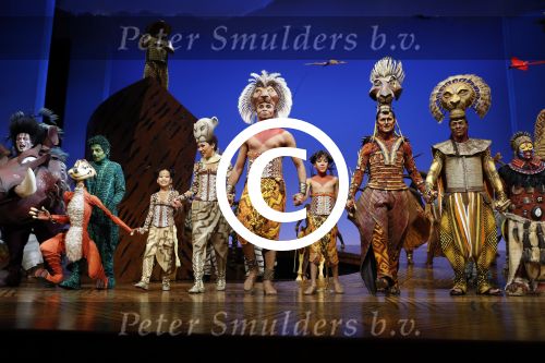 Scheveningen 30 oktober 2016
Premiere the lion king in het circustheater. slotaplaus met de cast.