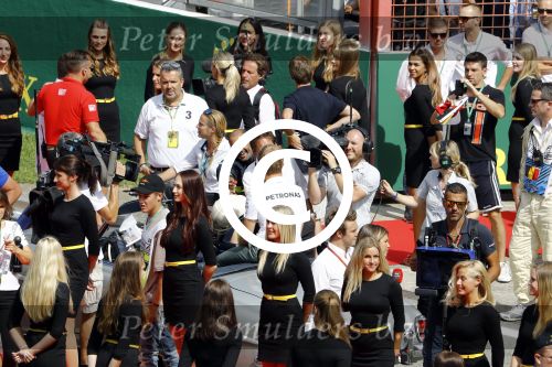 Francorchamps Spa 27 augustus 2016
F1 GP Spa Francorchamps. Jos Verstappen