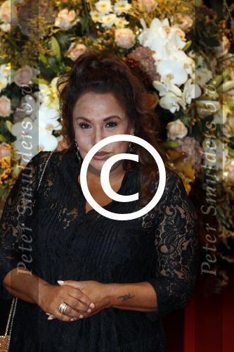 Amsterdam 13 oktober 2016
Televizierring 2016 in de heineken music Hall.
Patty Brard
