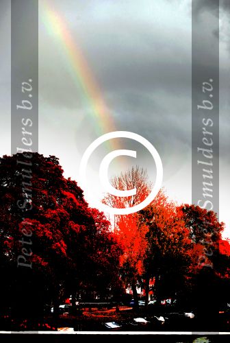 Amsterdam 5 november 2016 
Regenboog in Amsterdam