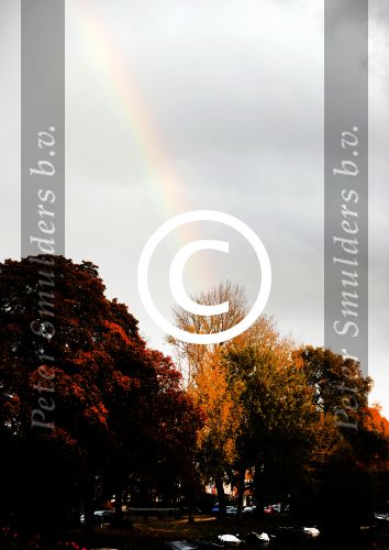 Amsterdam 5 november 2016 
Regenboog in Amsterdam