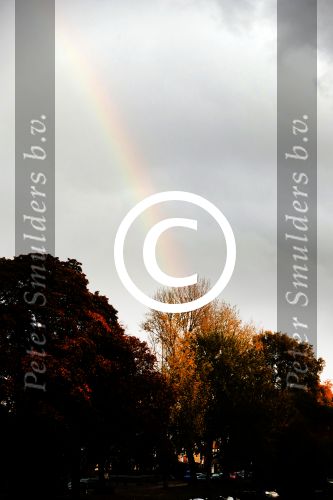 Amsterdam 5 november 2016 
Regenboog in Amsterdam