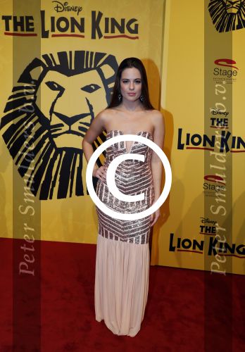 Scheveningen 30 oktober 2016
Premiere the lion king in het circustheater.
Robin Martens met vriend