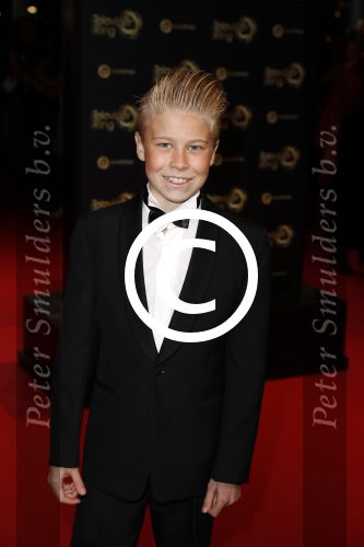 Amsterdam 13 oktober 2016
Televizierring 2016 in de heineken music Hall. Sem ...