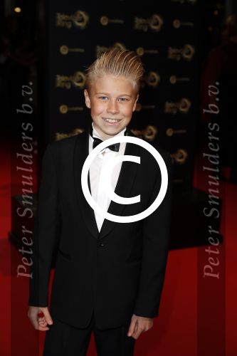 Amsterdam 13 oktober 2016
Televizierring 2016 in de heineken music Hall. Sem ...