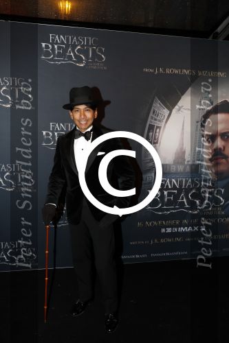 Amsterdam 15 november 2016
Premiere Fantastic beasts in Tuschinski. Wibi Soerjadi