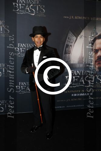 Amsterdam 15 november 2016
Premiere Fantastic beasts in Tuschinski. Wibi Soerjadi