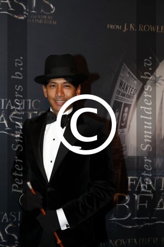 Amsterdam 15 november 2016
Premiere Fantastic beasts in Tuschinski. Wibi Soerjadi
