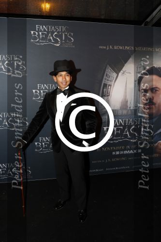 Amsterdam 15 november 2016
Premiere Fantastic beasts in Tuschinski. Wibi Soerjadi
