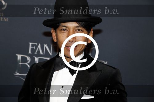 Amsterdam 15 november 2016
Premiere Fantastic beasts in Tuschinski. Wibi Soerjadi