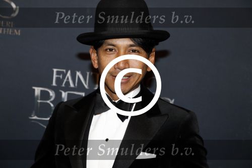 Amsterdam 15 november 2016
Premiere Fantastic beasts in Tuschinski. Wibi Soerjadi