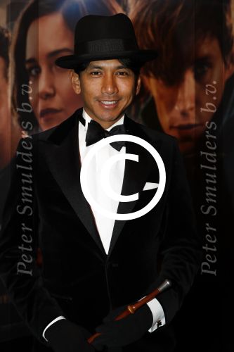 Amsterdam 15 november 2016
Premiere Fantastic beasts in Tuschinski. Wibi Soerjadi