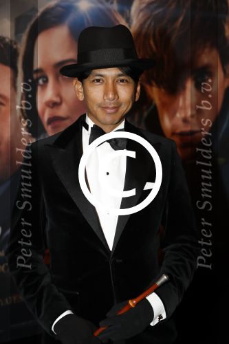 Amsterdam 15 november 2016
Premiere Fantastic beasts in Tuschinski. Wibi Soerjadi