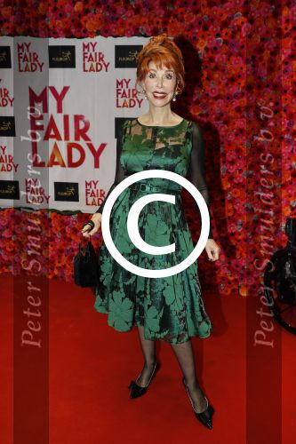Amsterdam 6 november 2017 
Premiere my fair lady in carre. Marijke Helwegen