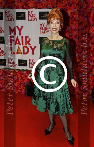 Amsterdam 6 november 2017 
Premiere my fair lady in carre. Marijke Helwegen