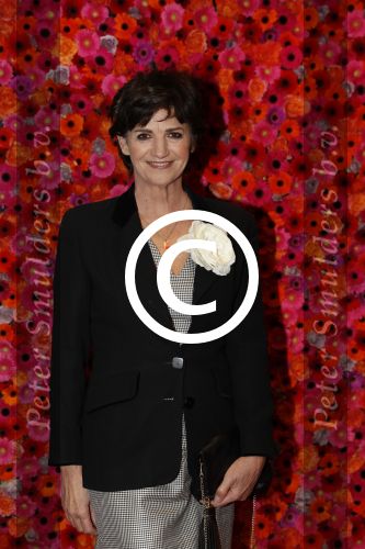 Amsterdam 6 november 2017 
Premiere my fair lady in carre. Martine v Os met man