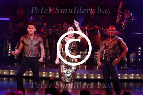 Utrecht 29 oktober 2017
Premiere on your feet in beatrixtheater in Utrecht. Hoofdrolspelers Jim Bakkum Vajen van den Bosch Nurlaila en Ellen Evers