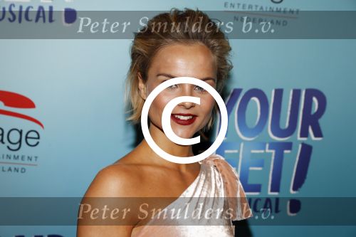 Utrecht 29 oktober 2017
Premiere on your feet in beatrixtheater in Utrecht. Stijn Fransen