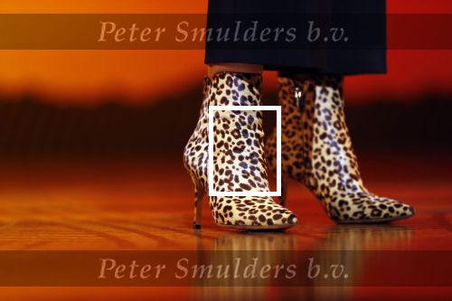 Scheveningen 17 oktober 2018
2 jaar de Lion King in het afas circustheater. Linda de Mol en Albert Verlinde
