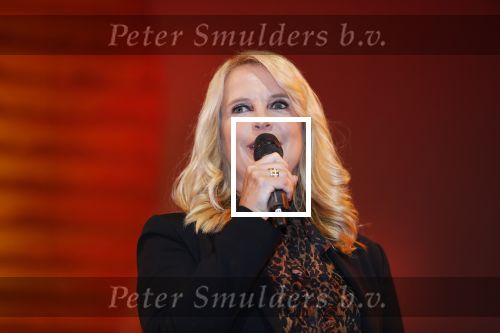 Scheveningen 17 oktober 2018
2 jaar de Lion King in het afas circustheater. Linda de Mol en Albert Verlinde