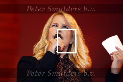 Scheveningen 17 oktober 2018
2 jaar de Lion King in het afas circustheater. Linda de Mol en Albert Verlinde