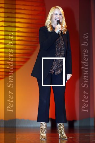 Scheveningen 17 oktober 2018
2 jaar de Lion King in het afas circustheater. Linda de Mol en Albert Verlinde