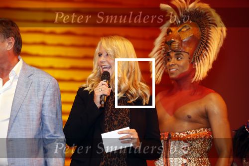 Scheveningen 17 oktober 2018
2 jaar de Lion King in het afas circustheater. Linda de Mol en Albert Verlinde
