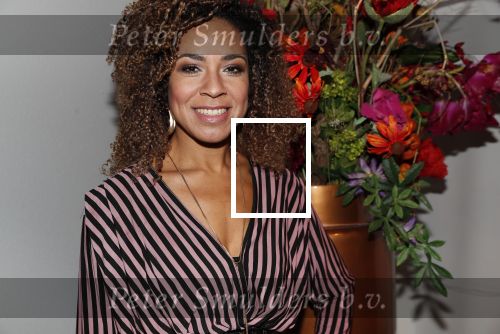 Amsterdam 28 oktober 2018
Premiere Expeditei eiland in theater de meervaart. Amara Onwuka met haar zus