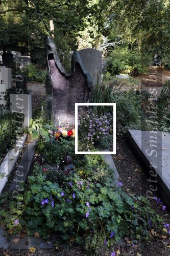 Amsterdam 9 oktober 2018
Diverse graven van bekende Nederlanders (Bners) op Zorgvlied.
Dit is het graf van  Annie MG Schmidt