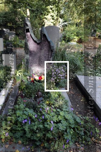 Amsterdam 9 oktober 2018
Diverse graven van bekende Nederlanders (Bners) op Zorgvlied.
Dit is het graf van  Annie MG Schmidt