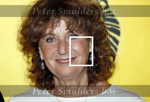 Scheveningen 17 oktober 2018
2 jaar de Lion King in het afas circustheater. Ariane Kleiweg kwam met haar man