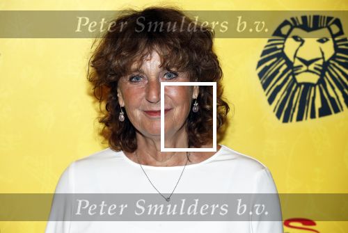 Scheveningen 17 oktober 2018
2 jaar de Lion King in het afas circustheater. Ariane Kleiweg kwam met haar man