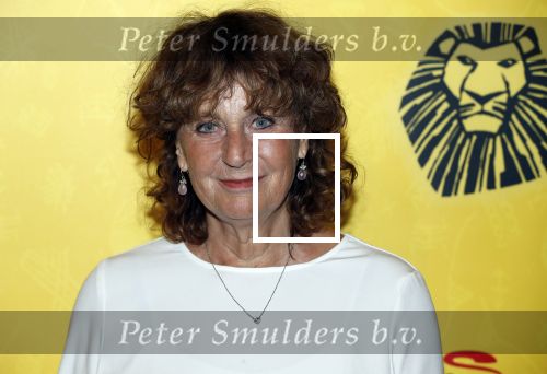 Scheveningen 17 oktober 2018
2 jaar de Lion King in het afas circustheater. Ariane Kleiweg kwam met haar man