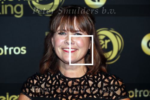 Amsterdam 11 oktober 2018
Uitreiking televizierring in AFAS LIVE.
Beau v Erven Dorens in de grote winnaar. Astrid Kersseboom met man
