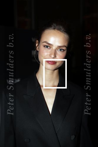 Amsterdam 1 november 2018
Voque en Hugo Boss avond in het stedelijk museum. Birgit Kos
