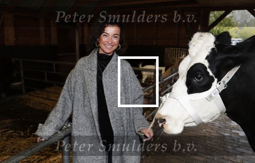 Hilversum 2 oktober 2018
Presentatie voorleesboeken van Katja Schuurman ism Jumbo en Campina. Birgit Schuurman overhandigt eerste exemplaren.