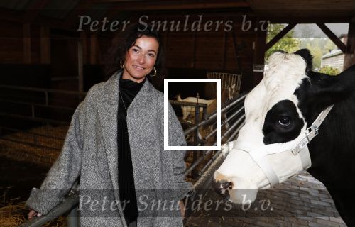 Hilversum 2 oktober 2018
Presentatie voorleesboeken van Katja Schuurman ism Jumbo en Campina. Birgit Schuurman overhandigt eerste exemplaren.