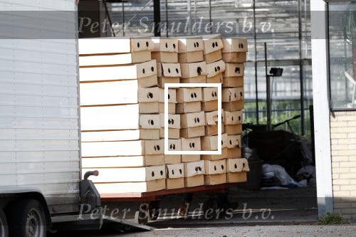 Rijsenhout 20 oktober 2018
Boer Jaap van boer zoekt vrouw woont in Rijsenhout .