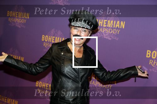 Amsterdam 30 oktober 2018
Premiere Bohemian Rhapsody in tuschinski.