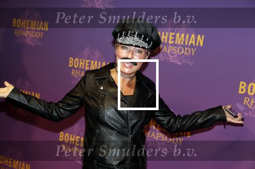Amsterdam 30 oktober 2018
Premiere Bohemian Rhapsody in tuschinski.