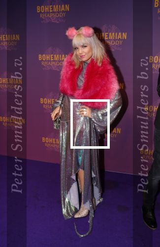 Amsterdam 30 oktober 2018
Premiere Bohemian Rhapsody in tuschinski.